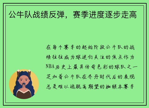 公牛队战绩反弹，赛季进度逐步走高